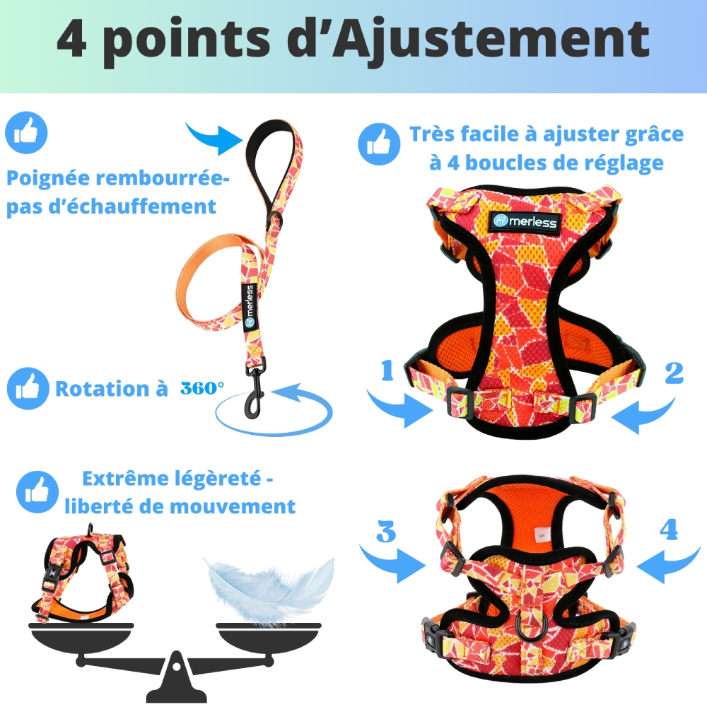 Harnais et Laisse pour Petit Chien, Chiot ou Chat – Image 6