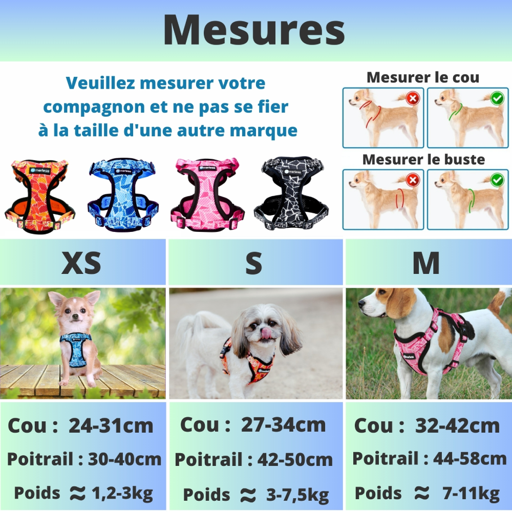 Harnais et Laisse pour Petit Chien, Chiot ou Chat – Image 7