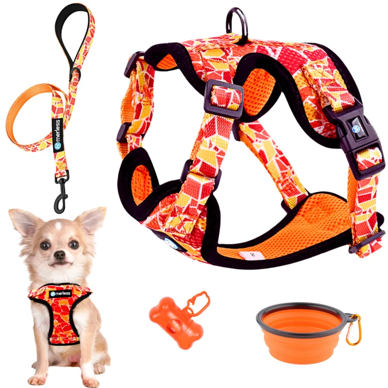 Harnais et Laisse pour Petit Chien, Chiot ou Chat