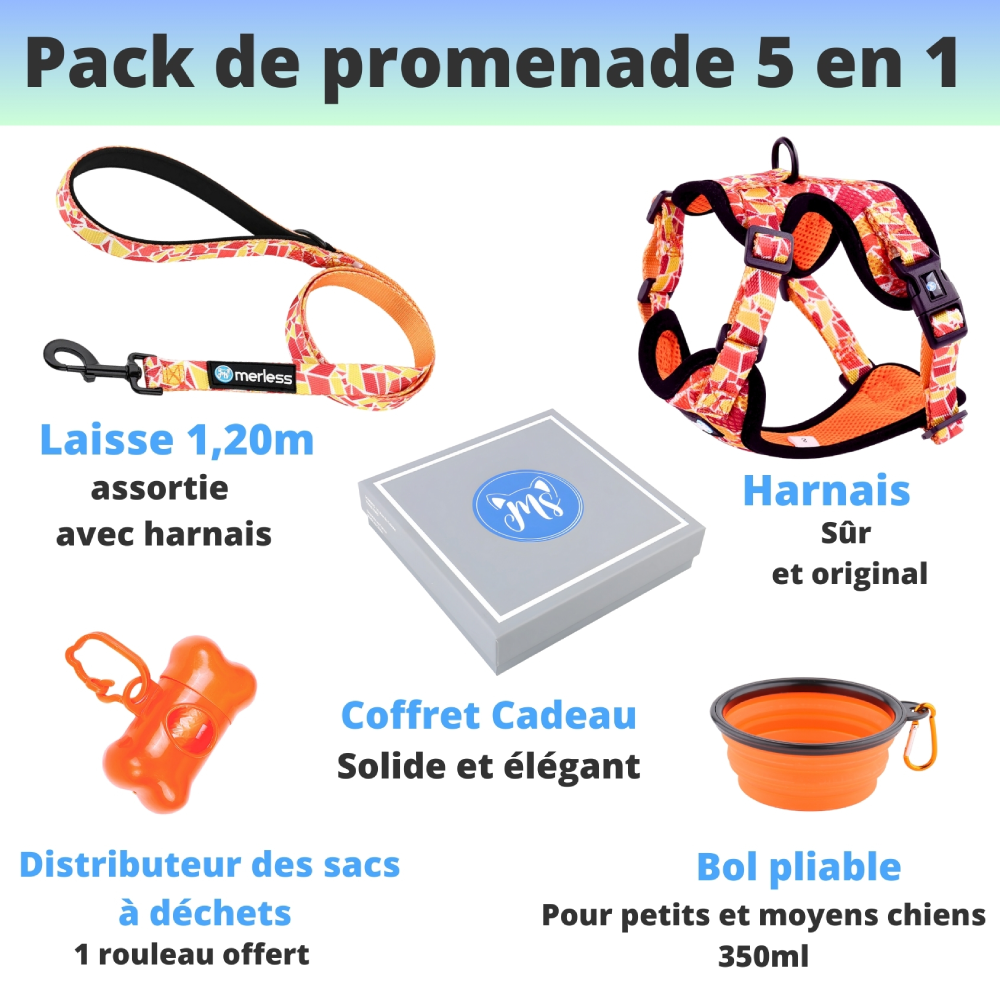 Harnais et Laisse pour Petit Chien, Chiot ou Chat – Image 5