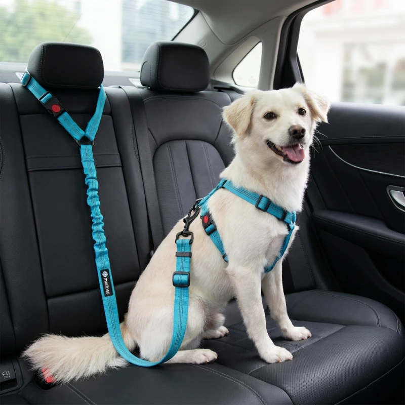 Ceinture-laisse-securite-voiture-chien-merless