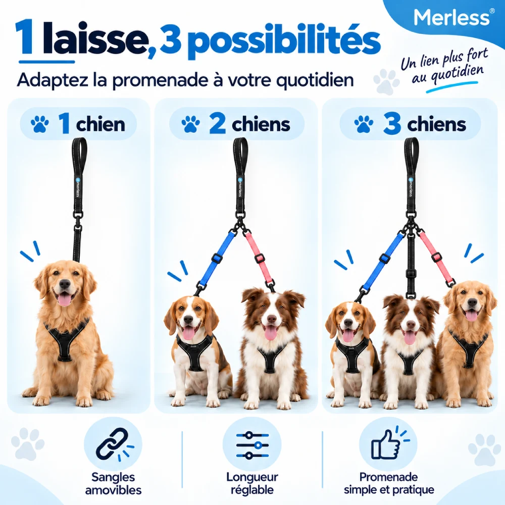 Laisse multiple 3 chiens Merless modulable pour promener 1, 2 ou 3 chiens