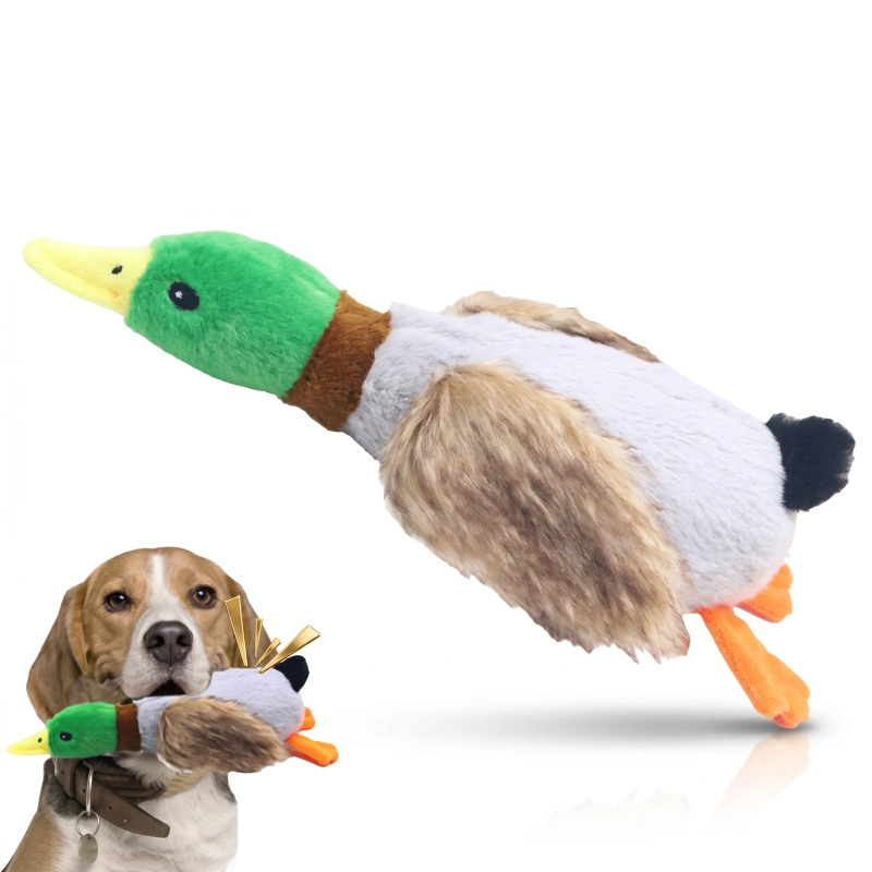 Jouet sonore pour chien Canard Colvertino avec chien